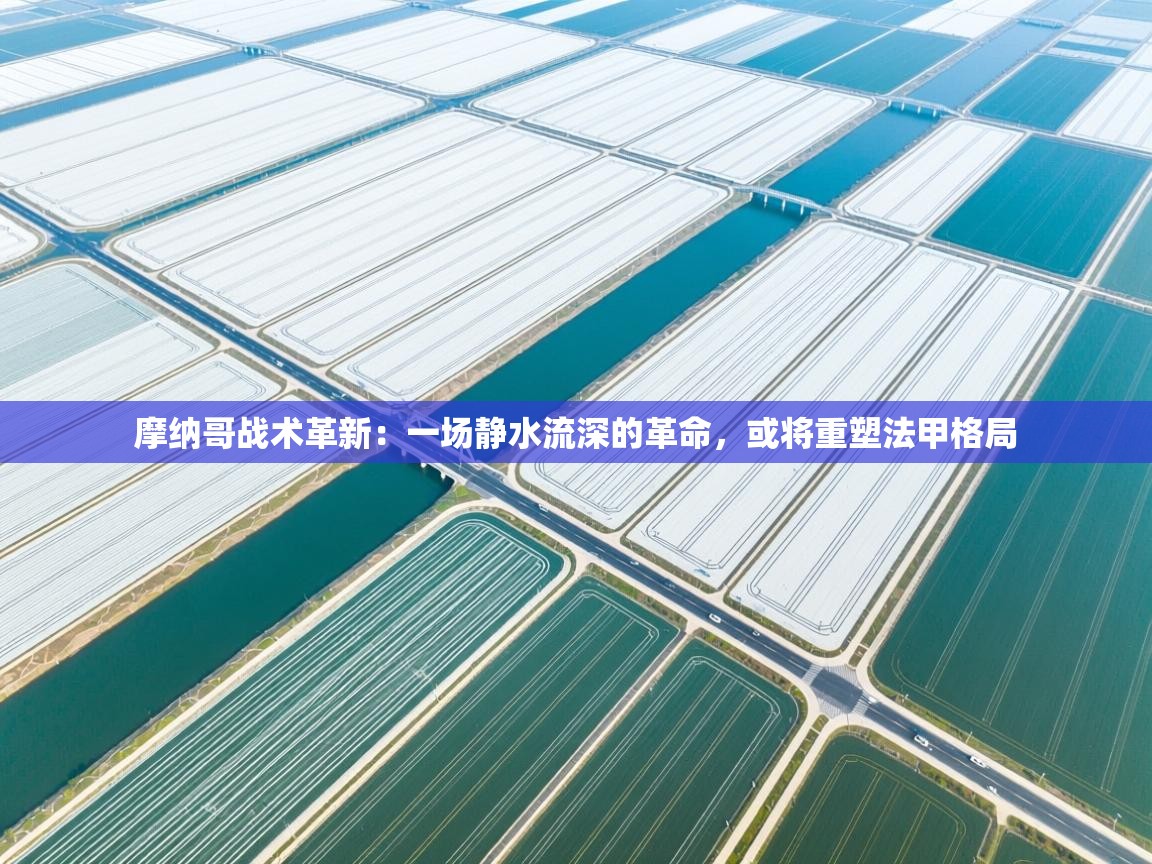 摩纳哥战术革新：一场静水流深的革命，或将重塑法甲格局  第1张